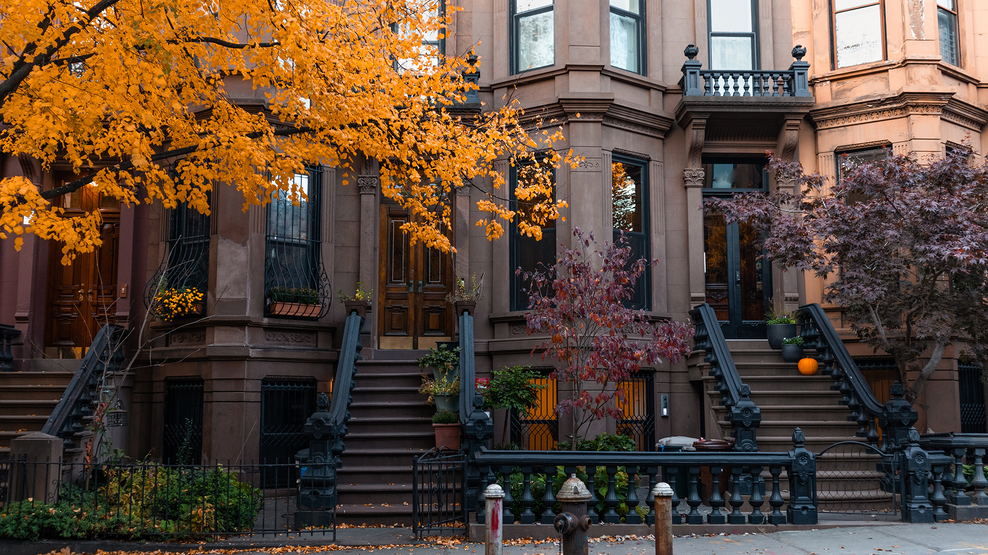 html head title 500 Internal Server Error title head body center h1 500 Internal Server Error h1 center hr center nginx 1.29.3 center body html